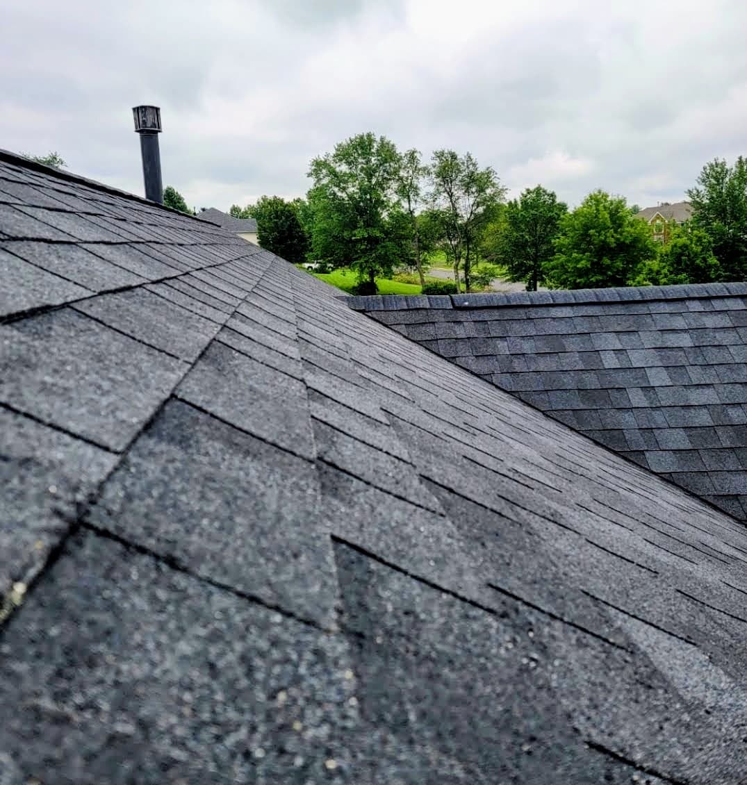 Low shot of shingle view
