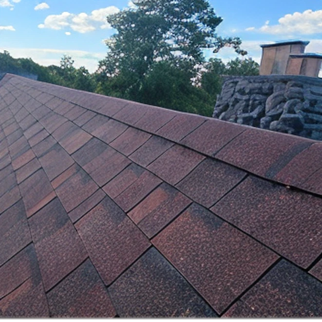 Roof 1
