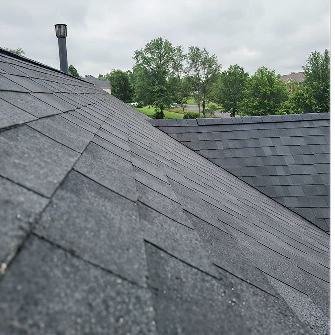 Roof 2